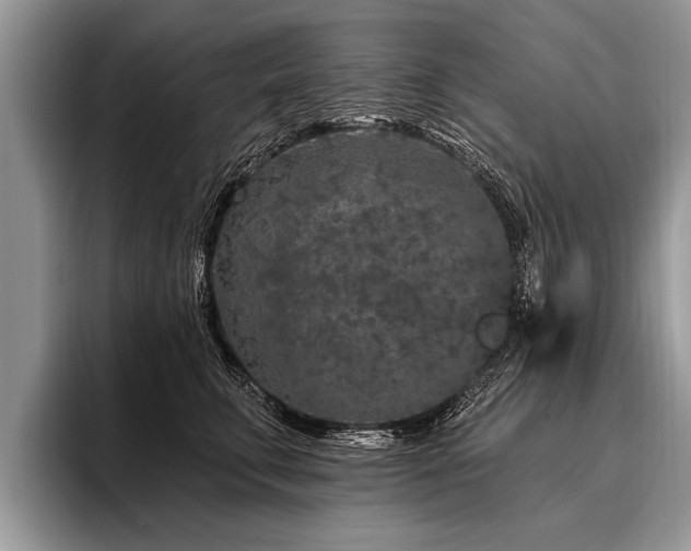 X0000096990711200802081428