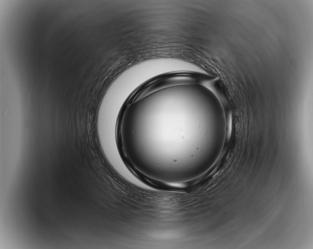 X0000096990712200802081428