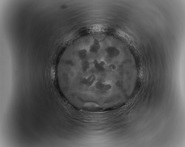 X0000096990715200802081428
