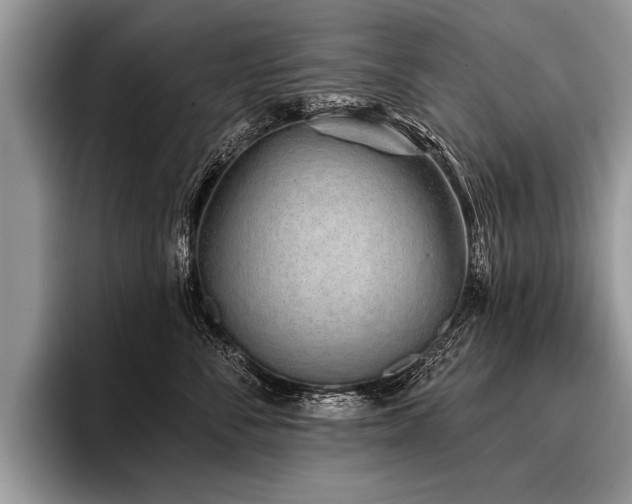 X0000096990716200802081428