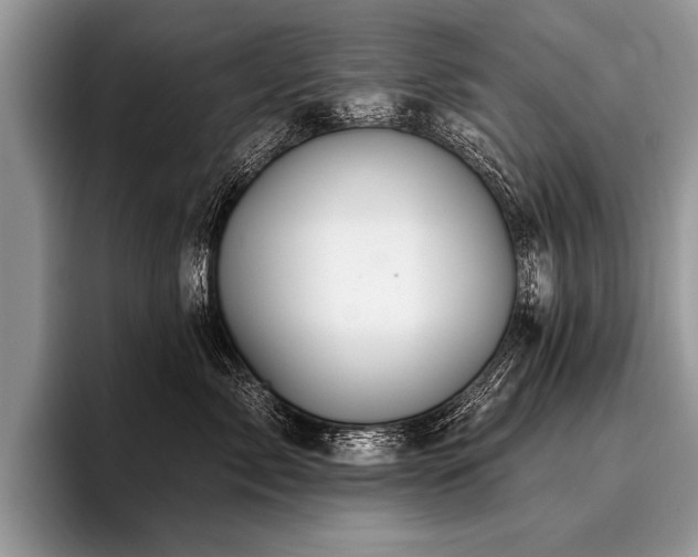 X0000096990717200802081428