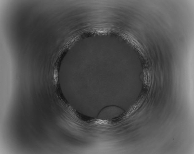 X0000096990718200802081428
