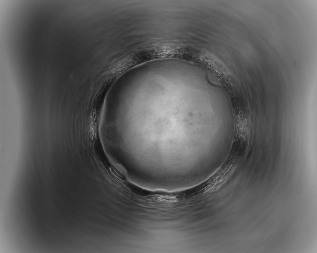 X0000096990719200802081428