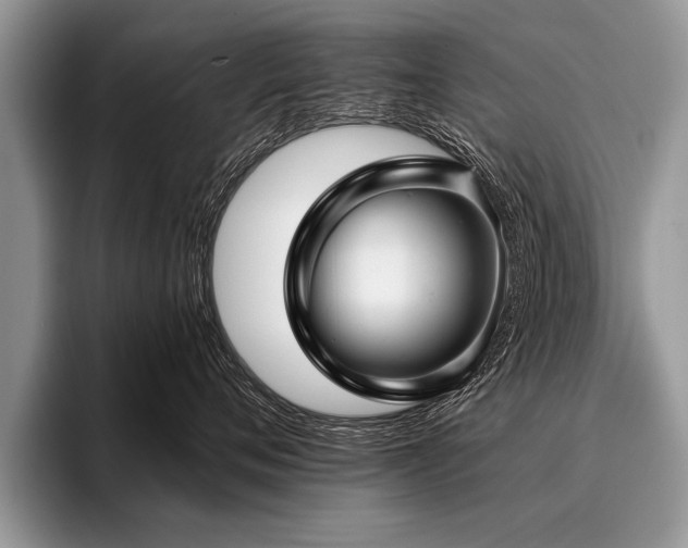 X0000096990720200802081428
