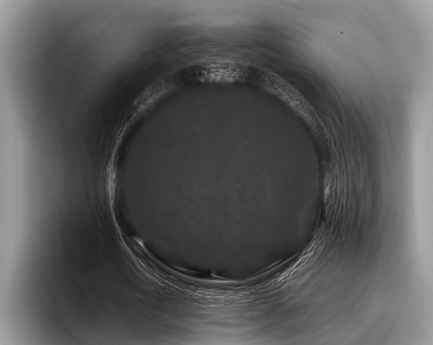 X0000096990722200802081427