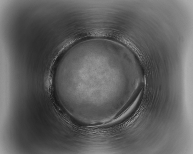 X0000096990723200802081427