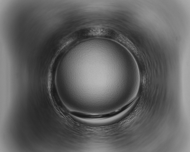 X0000096990724200802081427