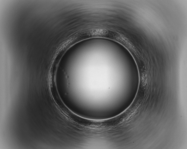 X0000096990725200802081427