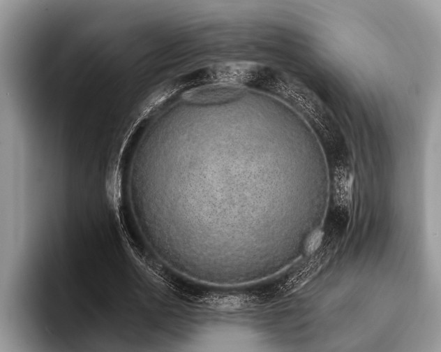 X0000096990726200802081427
