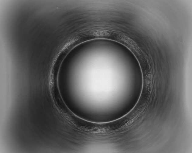 X0000096990727200802081427