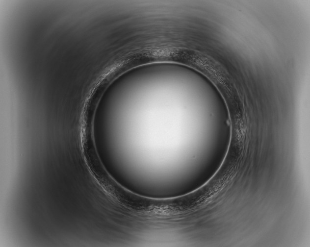 X0000096990728200802081427