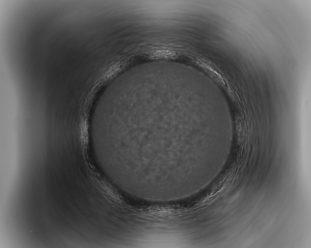 X0000096990729200802081427