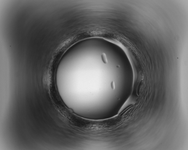 X0000096990732200802081427
