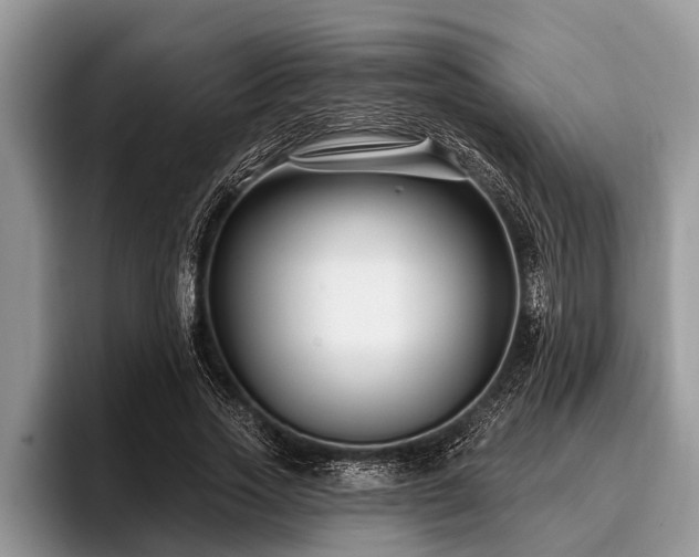 X0000096990733200802081427