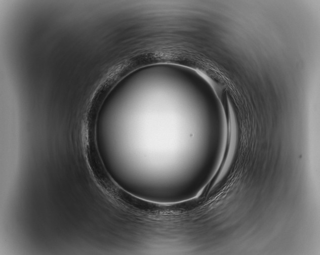 X0000096990734200802081427