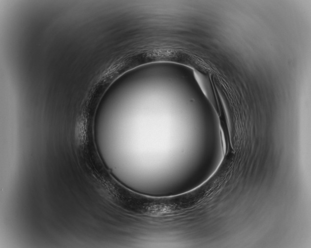 X0000096990735200802081427