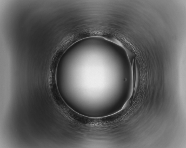 X0000096990738200802081427