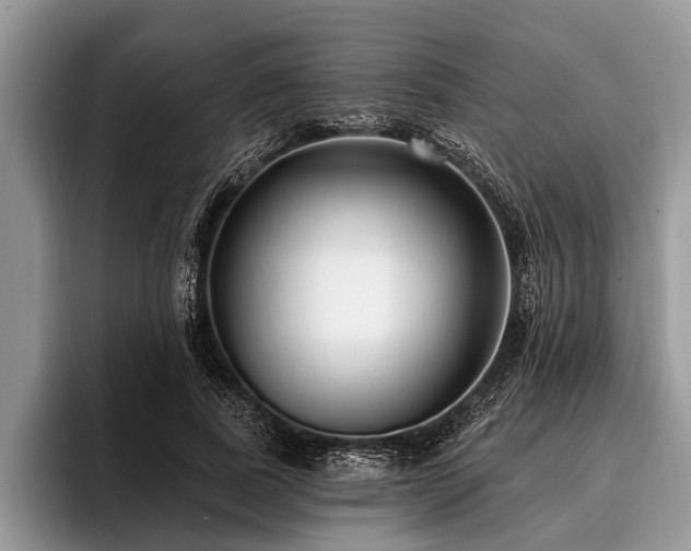X0000096990739200802081427