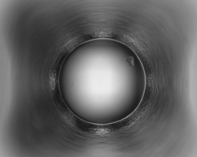 X0000096990741200802081427