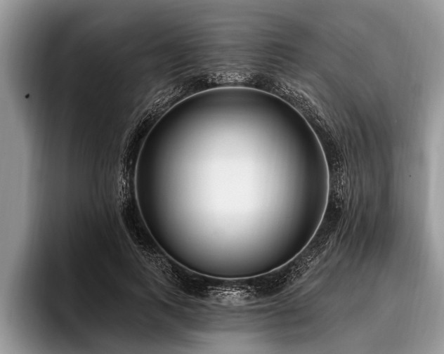 X0000096990743200802081427