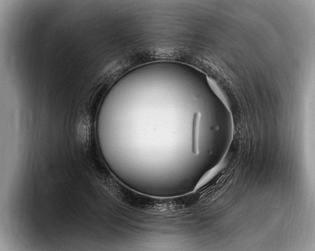X0000096990744200802081427