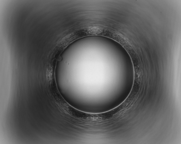 X0000096990745200802081427