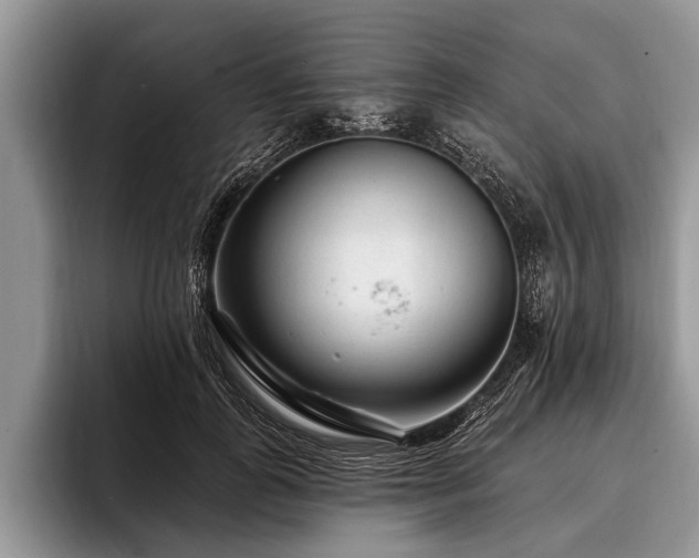 X0000096990747200802081427