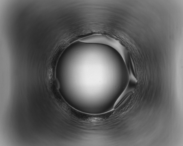 X0000096990748200802081427