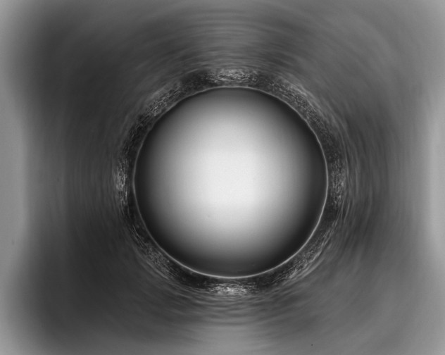 X0000096990749200802081427