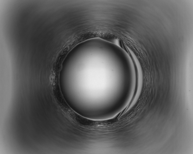 X0000096990750200802081427