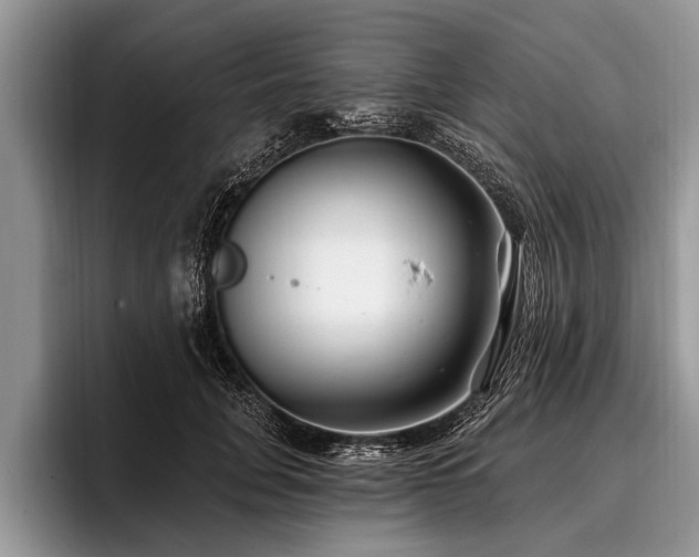 X0000096990751200802081427