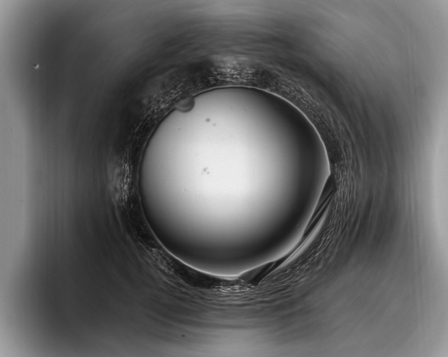 X0000096990752200802081427