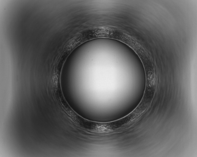 X0000096990753200802081428