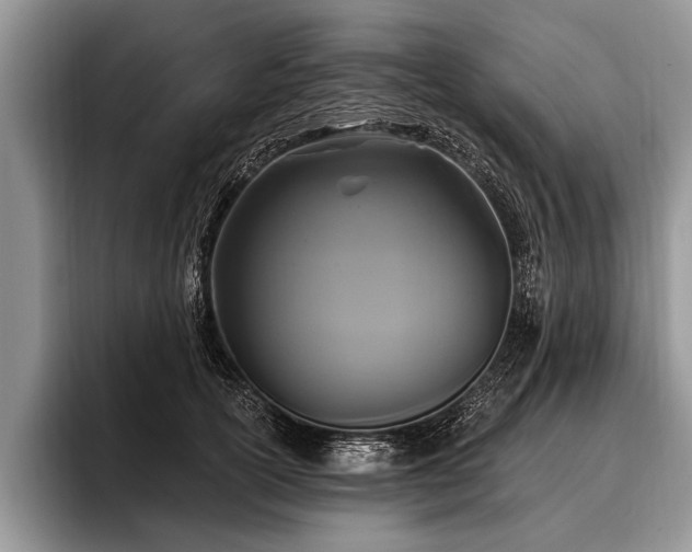 X0000096990754200802081428
