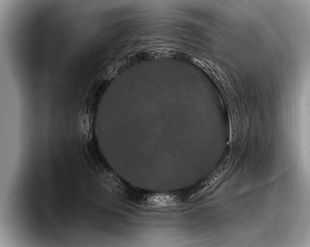 X0000096990759200802081428