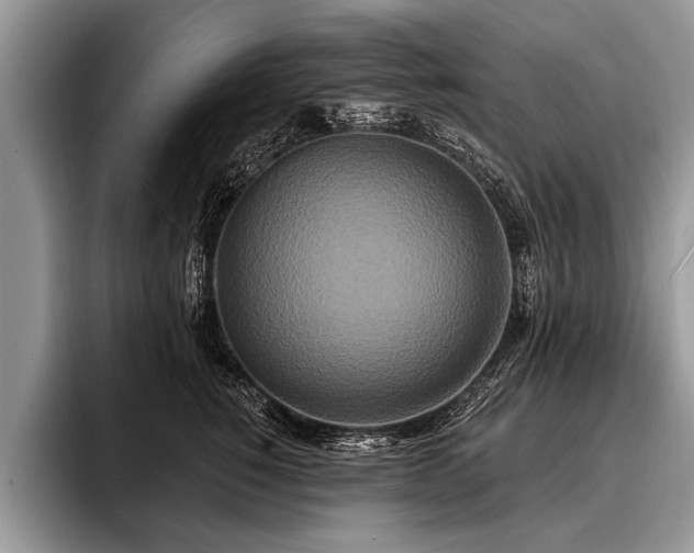 X0000096990760200802081428