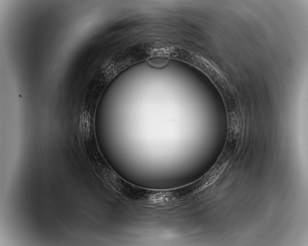 X0000096990761200802081428