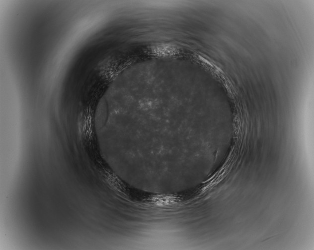 X0000096990762200802081428