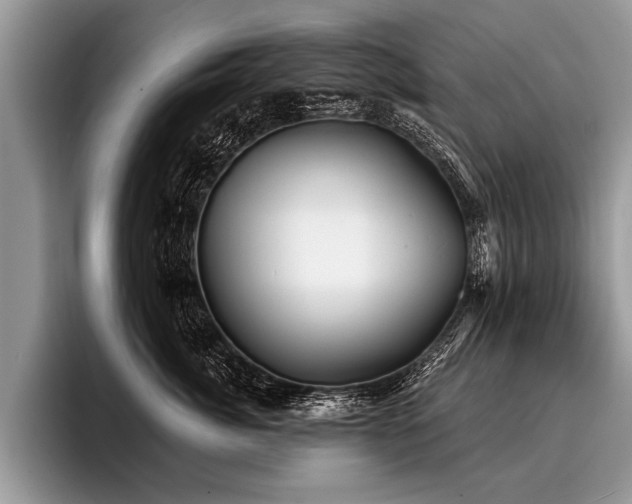 X0000096990764200802081428