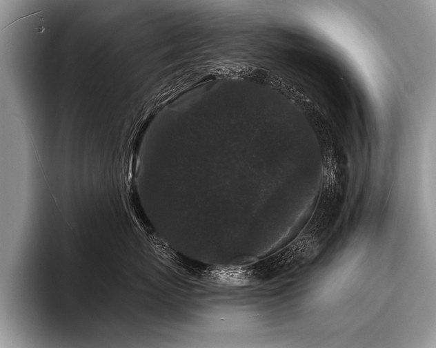X0000096990767200802081428