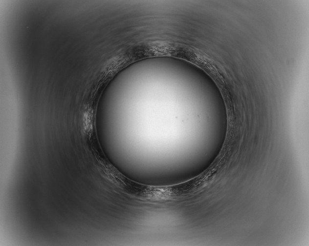 X0000096990768200802081428