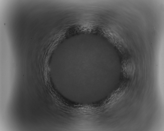 X0000096990769200802081427