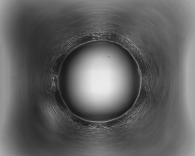 X0000096990770200802081427