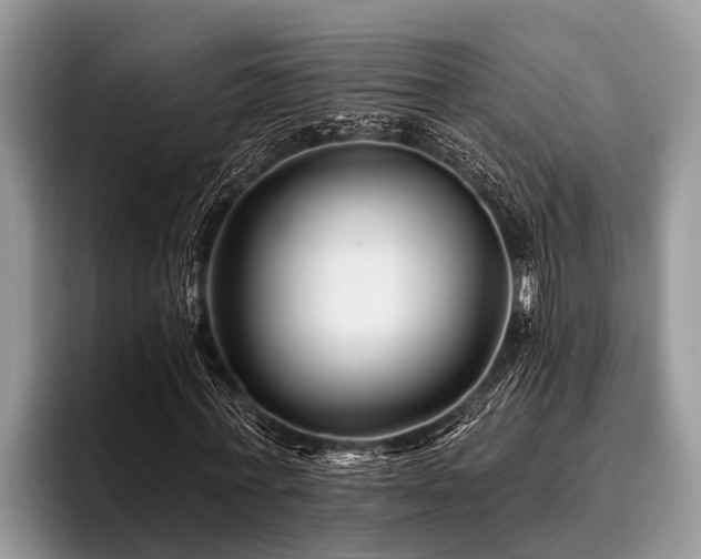X0000096990771200802081427