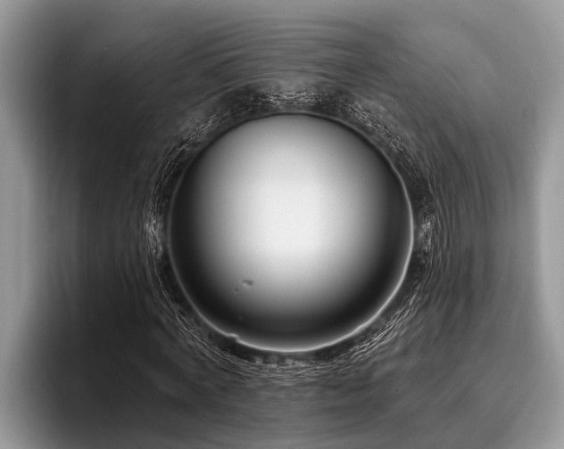 X0000096990772200802081427