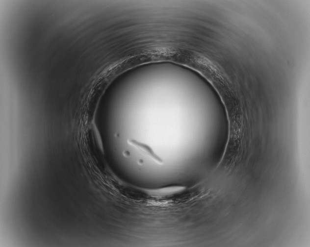 X0000096990773200802081427