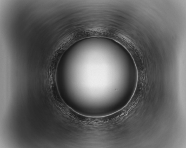 X0000096990774200802081427