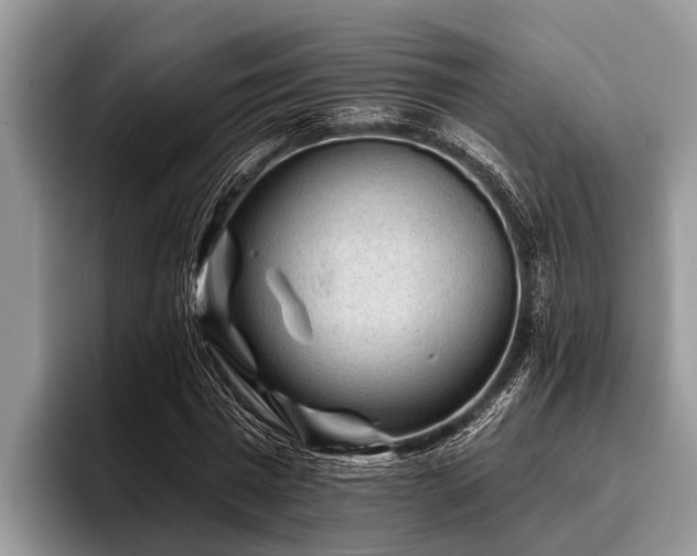 X0000096990777200802081427