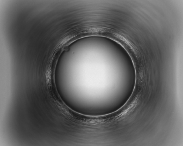 X0000096990778200802081427