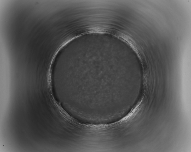 X0000096990779200802081427